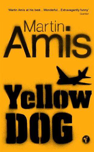 Martin Amis book